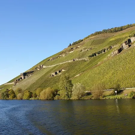 Weinvilla Heinrichshof * Zeltingen-Rachtig